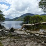 nad jeziorem w parku narodowym Killarney