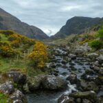 krajobraz w parku Narodowym Killarney