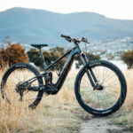 rower e-mtb na tle polnej ścieżki