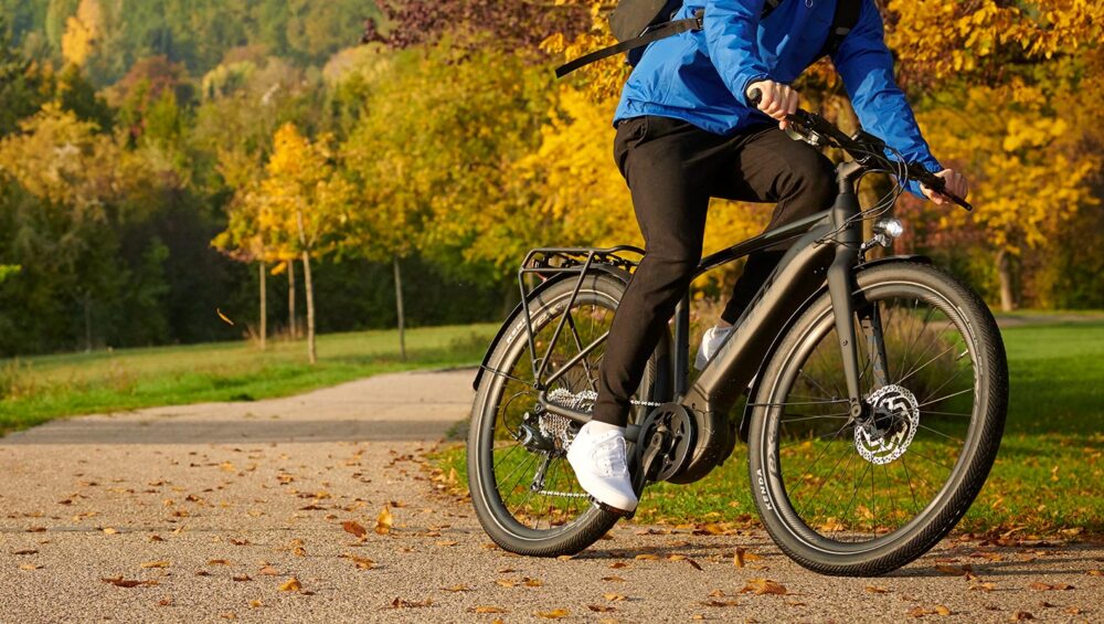 rower elektryczny w parku w jesiennej aurze