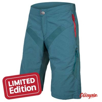 endura singletrack shorts 2018