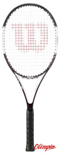 phantastick ski pole